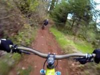 Mt Molly Descent - Waddell Basin West Trail -...