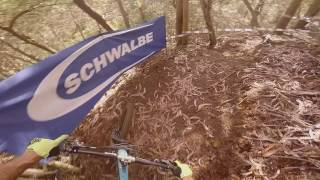 EWS Madeira 2017 - SS4: Abelhas