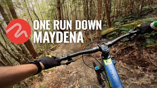 One run down Maydena - Skyline, Tea Trees,...