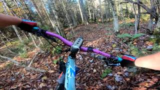Hardwick Trails