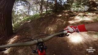 Sleepy Hollow @ Eskdale MTB Park