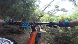 BTT - JAVALI @ Monsanto - Giant Reign