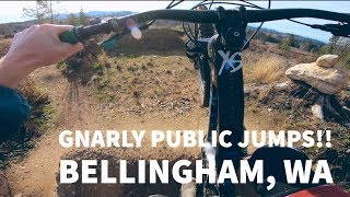 CEDAR DUST JUMP LINE | Bellingham, WA