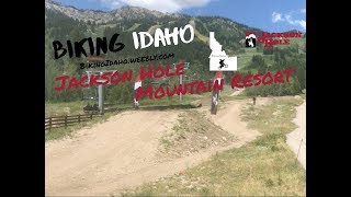 Biking Jackson Hole Mountain Resort