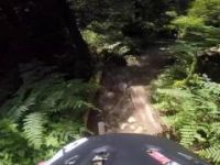 Pingu and Pangor - North Shore radness -...