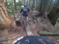 Corkscrew trail - Mt Seymour - North Shore -...