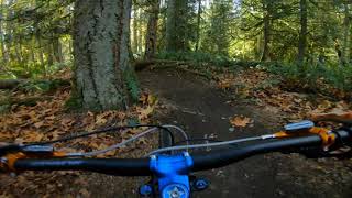 Upper Springboard Trail, Lord Hill Park -...