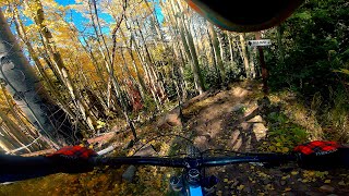 Telluride Bike Park: Goldrush to Killer Bee to...