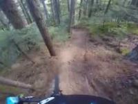 Microclimate in Whistler BC - Blackcomb...