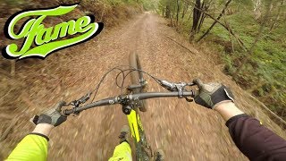 Fox Creek - F.A.M.E. (Gnarly)