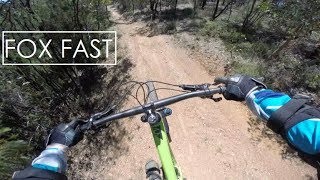 Fox Creek - Fox Fast