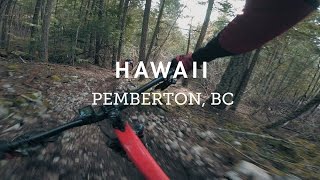 Hawaii with BCpov
