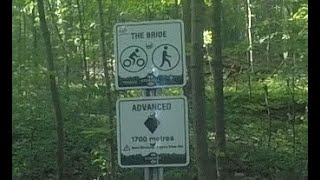 The Bride + Rock Feature ♦