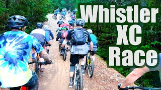Traffic Jam in Whistler's Wet Woods!