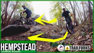New Trail! Hempstead Harbor Woods Trail