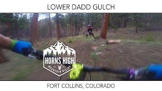 LOWER DADD GULCH | FORT COLLINS, COLORADO