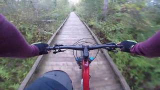 Sugar Bush Trail
