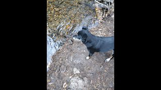 hunter creek falling downhill EP 3