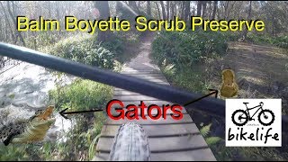 Exploring Balm Boyette Scrub Preserve MTB Trails