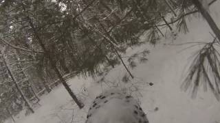 Owasippe Fat Bike Crash into Trees