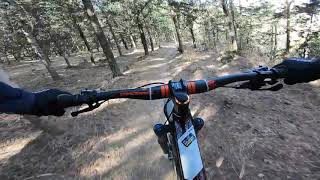 Stage 1 GT Misgav Enduro powered by Rosen...