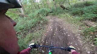 Mountain Biking in the Forest of Lewis Morris 4K