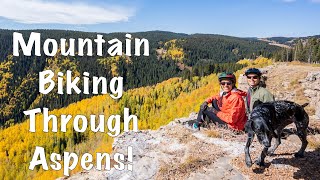 Biking Through Aspen Trees - Elbert Creek Trail