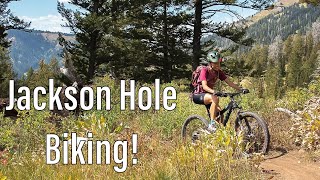 Bear What? - Biking With Bears...