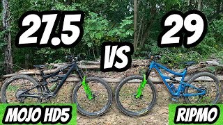 Ibis RipMo vs HD5? Which One Is Better!