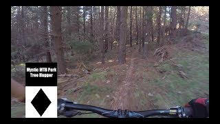 Mystic MTB Park | Tree Hugger