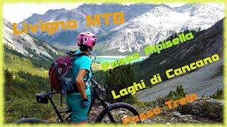 MTB #04 Passo Alpisella, Laghi di Cancano e ...