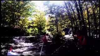 Vasilitsa Downhill 2014