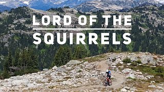 Lord Of The Squirrels. Epic Alpine Adventure