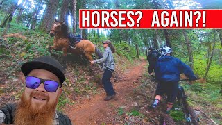 UPPER DEAD MOUNTAIN  |  MOUNTAIN BIKING IN OAK...