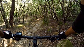 Quercia Numerata / Brigidino Trail | Tirli...
