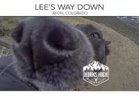 LEE'S WAY DOWN | AVON, COLORADO