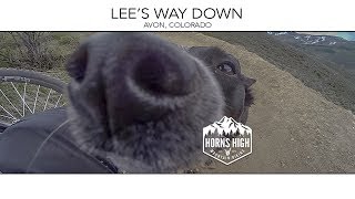 LEE'S WAY DOWN | AVON, COLORADO