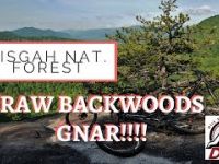 Mountain Biking PISGAH LAUREL MT, SLATE CON ,...