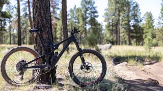 Schultz Creek - Flagstaff - 08/17/2019