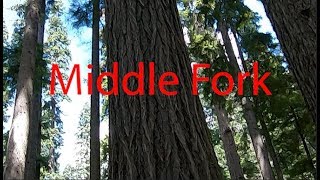Oakridge - Middle Fork Willamette (West)