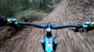 Mountain biking in Kobe: Yamada Dori Trail