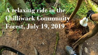 Community Forest Rosedale July 19, 2019