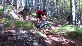 Bivacco Bianchi-Forcella Vualt-Dordolla MTB....