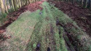 Brown Moor Ecclefechan - MTB - Broon streak