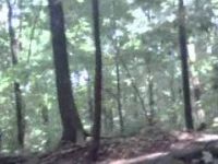West Branch State Park Quarry Trail