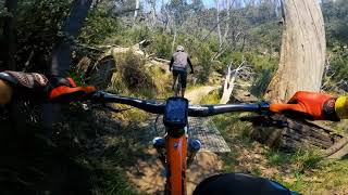 Falls Creek - Flowtown