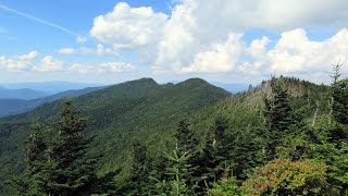 Black Mountain Crest Trail, Pisgah National...