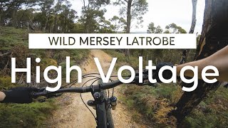 Wild Mersey - High Voltage
