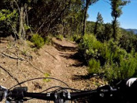Aione Trail | Massa Marittima Trail Area |...