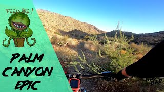 Beware of the Killer Plants! - Riding the Palm...